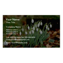 fleurs blanches de perce-neiges modèle de carte de visite