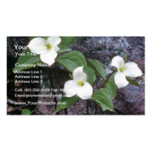 fleurs blanches de Trillium Carte De Visite
