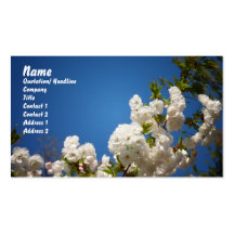 Fleurs de cerisier blanches sur le fond bleu cartes de visite personnelles