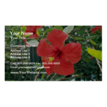 Fleurs de ketmie cartes de visite personnelles