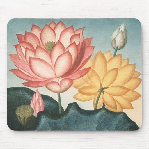 Fleurs de Lotus - protection de Lotus d'illustrati Tapis De Souris