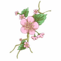 Fleurs de Sakura Découpage En Acrylique