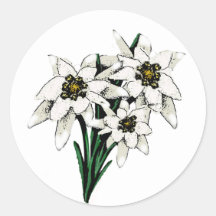 Fleurs d'edelweiss autocollants