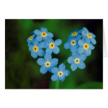 Fleurs en forme de coeur de myosotis cartes de vœux