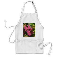 Fleurs et plantes tabliers