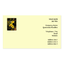 Fleurs jaunes. Bidens. Sur la crème Modèles De Cartes De Visite