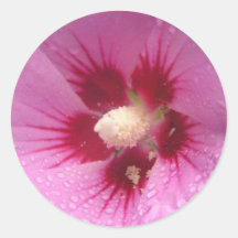 Fleurs roses adhésif