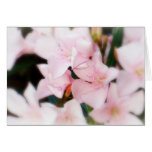 Fleurs roses carte de vœux