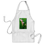 Fleurs roses de zantedeschia tabliers