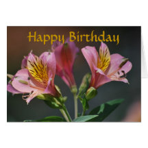 Fleurs roses et signification de lis d'Inca Cartes