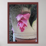 Fleurs roses pendantes - artistiques poster