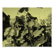 Fleurs sur la rue photo d’art