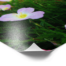Fleurs sur le Horizion Photo