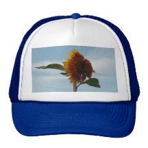 Fliegen-Sonnenblume Baseballmütze
