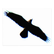 Fliegen-Vogel-Silhouette Postkarte