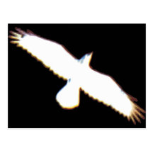 Fliegen-Vogel-Silhouette Postkarte