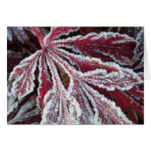 Flockiges eisiges Blatt Karte