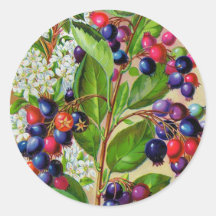 Floral bleu d'abd blanc rouge autocollants