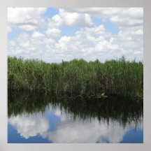 Florida-Sumpfgebietdruck Plakat