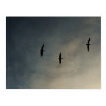 Flug… Postkarten