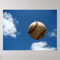 Flyball Plakate
