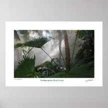 Forêt tropicale de Northampton II Affiche