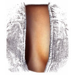 Fotomontage Tshirt