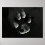 Fox arctique d'AFIPP dans l'empreinte de patte Posters