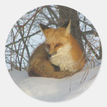 Fox de repos adhésif rond
