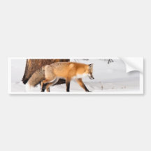 Fox rouge adhésifs pour voiture