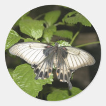 Frack-Schmetterling Aufkleber