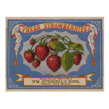 Fraises fraîches cartes postales