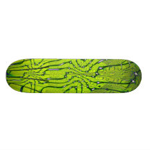Fraktal 903 bedruckte skateboarddecks