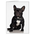 Französische Bulldogge Grußkarten