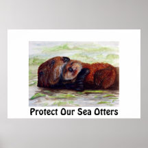 Freunde des Seeotter-Plakats