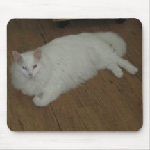 Freundliche türkische Angora-Katze Mousepad