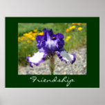 Freundschaftsgeschenkkunst druckt lila Iris-Blume Plakat