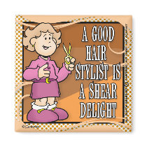 Friseur magnete