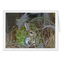 Frohe Ostern Karte Osterhasennest