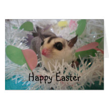 Fröhliche Ostern Grußkarte