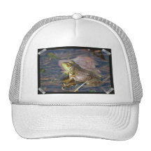 Frosch-Baseball-Mütze