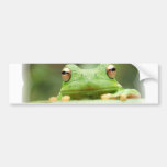 Frosch mustert Autoaufkleber
