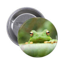 Frosch mustert Knopf Button