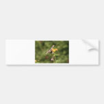 FullSpectrumImages-7 Auto Aufkleber