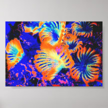 Fusée Posters