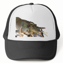 Garnele