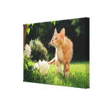 Garten-Weg-Leinwand-Druck Gespannte Galeriedrucke