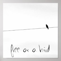 geben Sie als Vogel frei Posterdrucke