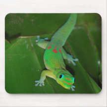 Gecko vert en Hawaï Tapis De Souris