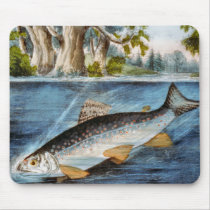 Gehakte Fische